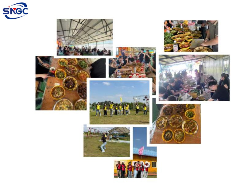 Fortaleciendo el espíritu de equipo: Sinograce Chemical celebra su evento de integración de 2026